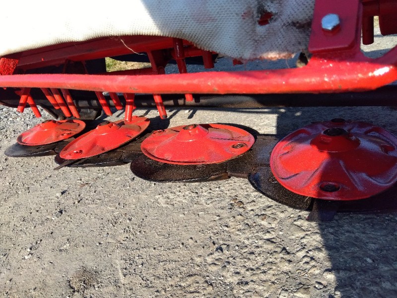 image8