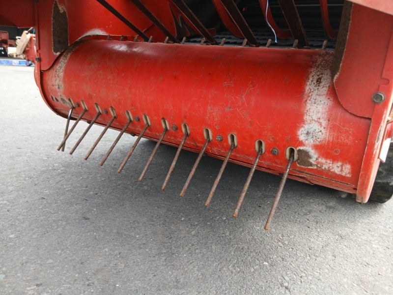 image8