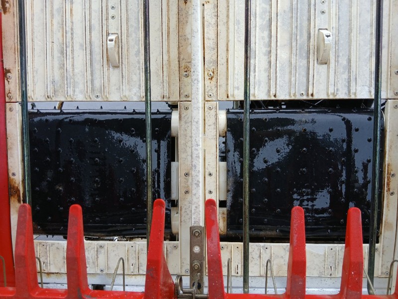image7