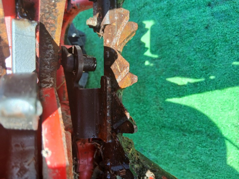 image8