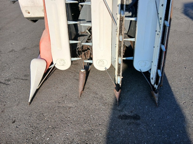 image5