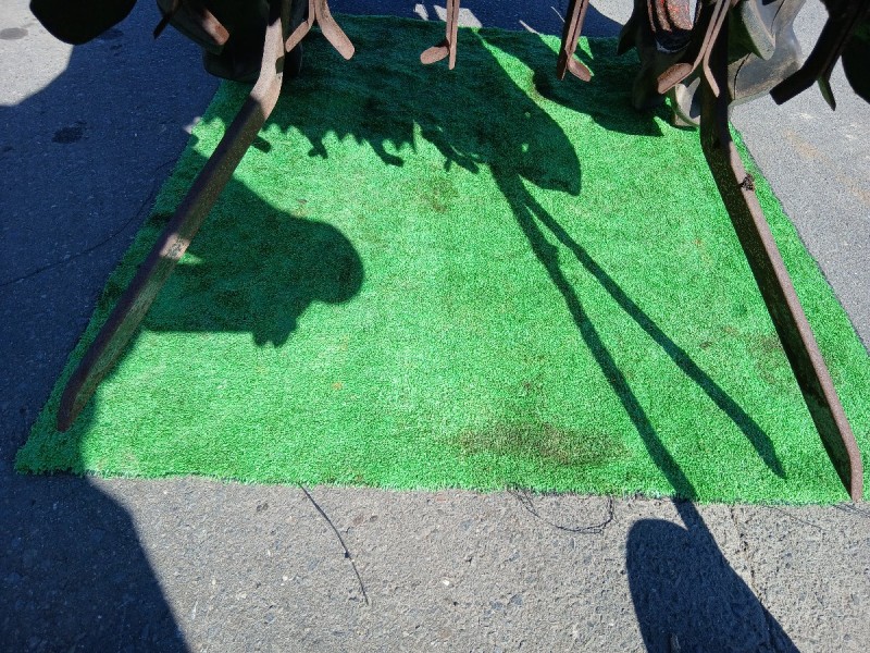 image8