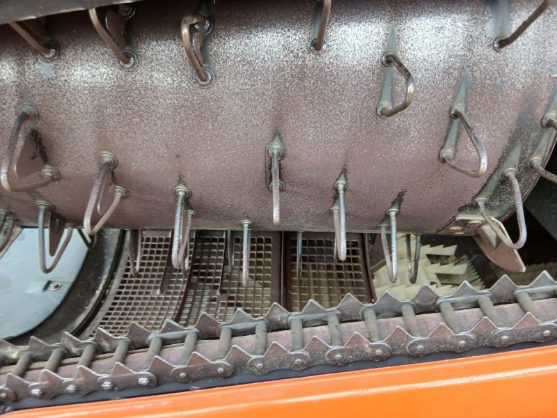image7