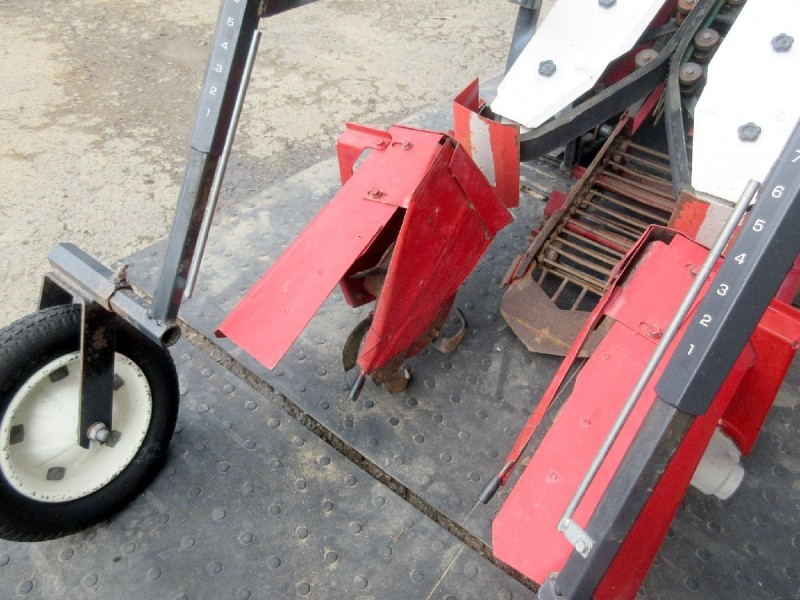 image8