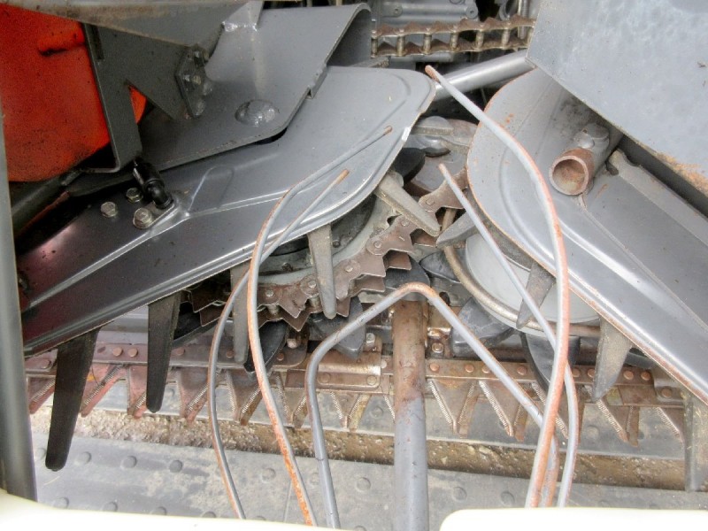 image8