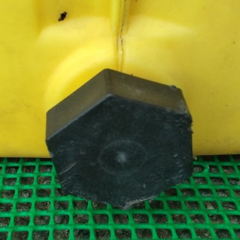 image6
