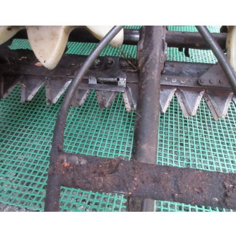 image6