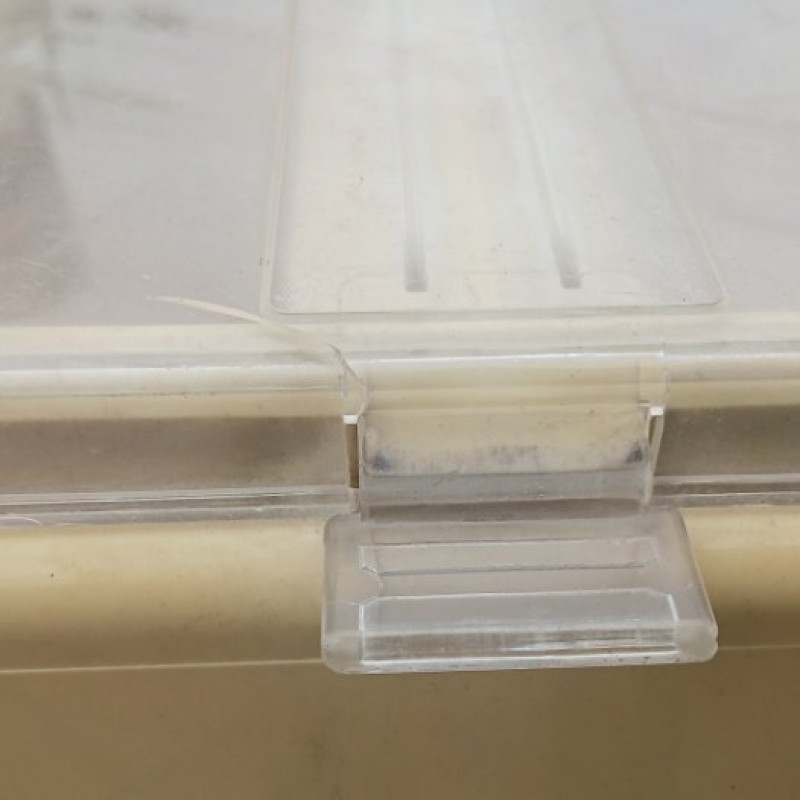 image7